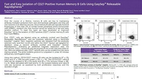 Fast and easy isolation of CD27-positive human memory B cells using EasySep™ Releasable RapidSpheres™