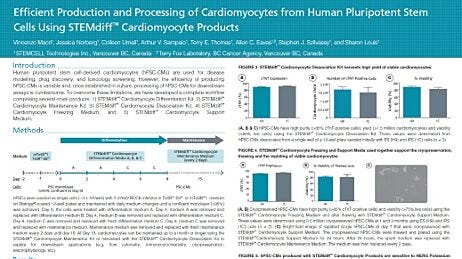 Efficient Production and Processing of Cardiomyocytes from Human Pluripotent Stem Cells Using STEMdiff™ Cardiomyocyte Products