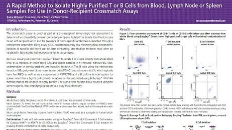 A Rapid Method to Isolate Highly Purified T or B Cells from Blood, Lymph Node or Spleen Samples For Use in Donor-Recipient Crossmatch Assays