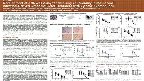 Development of a 96-well Assay for Assessing Cell Viability in Mouse Small Intestinal-Derived Organoids after Treatment with Cytotoxic Compounds
