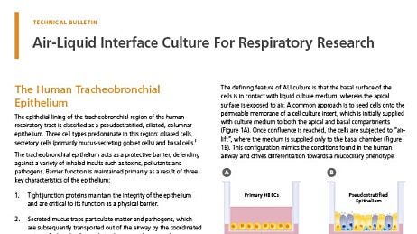 Air-Liquid Interface Culture for Respiratory Research