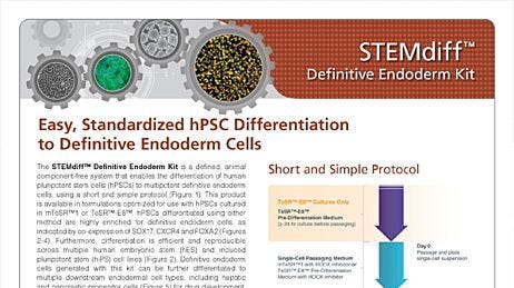 STEMdiff™ Definitive Endoderm Kit