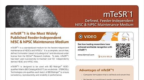 mTeSR™1: Defined, Feeder-Free hESC & hiPSC Maintenance Medium