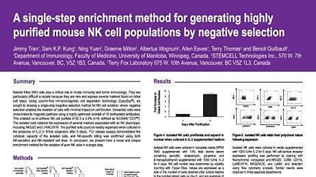 Cell Enrichment to Obtain Mouse NK Cell Populations By Negative Selection