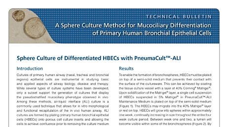 A Sphere Culture Method for Mucociliary Differentiation of Primary Human Bronchial Epithelial Cells
