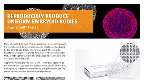 AggreWell™: Reproducible, Uniform Embryoid Bodies
