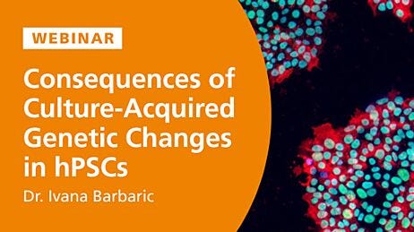 Consequences of Culture-Acquired Genetic Changes in Human Pluripotent Stem Cells