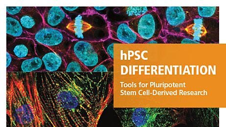 hPSC Differentiation: Tools for Pluripotent Stem Cell-Derived Research