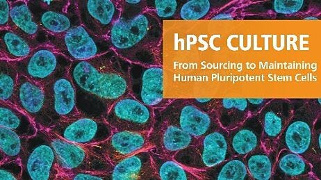 Products for Human Pluripotent Stem Cells
