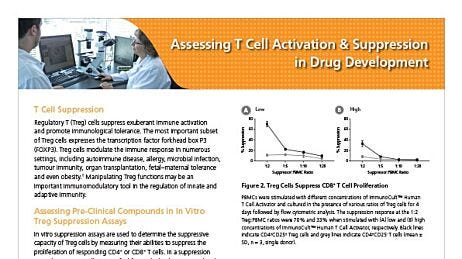 Assessing T Cell Activation & Suppression in Drug Development