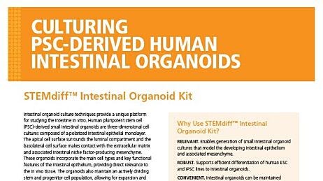 STEMdiff™ Intestinal Organoid Kit