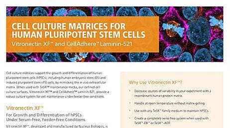 Cell Culture Matrices for Human Pluripotent Stem Cells