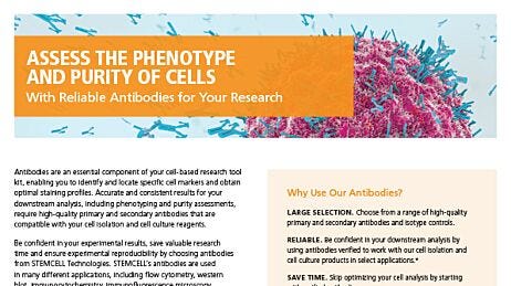 Reliable Antibodies for Your Research
