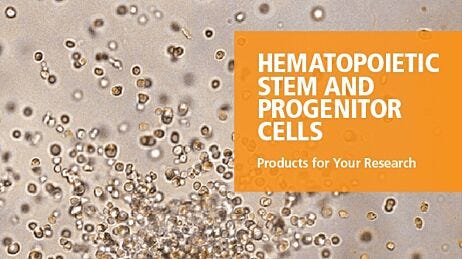 Hematopoietic Stem and Progenitor Cells - Products for Your Research
