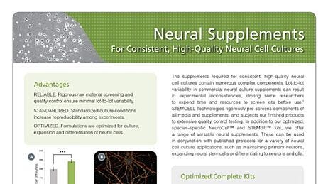 Neural Supplements For High-Quality Neural Cell Cultures