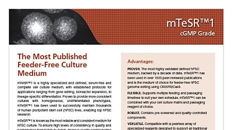cGMP mTeSR™1