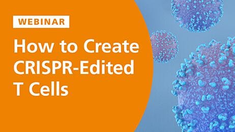 How to Create CRISPR-Edited T Cells 
