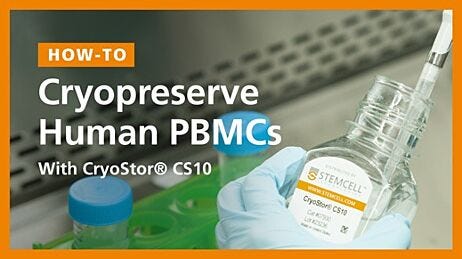 Cryopreserve Human Peripheral Blood Mononuclear Cells with CryoStor® CS10