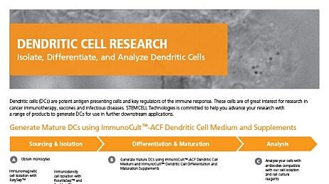 Tools to Streamline your Dendritic Cell Research