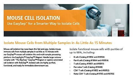Mouse Cell Isolation