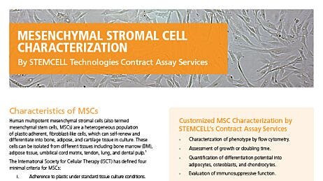 Mesenchymal Stromal Cell Characterization Services