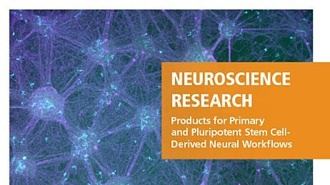 STEMCELL Neural Product Portfolio