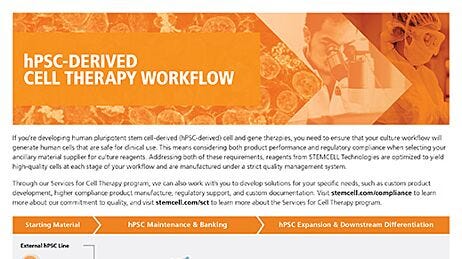 hPSC-Derived Cell Therapy Workflow