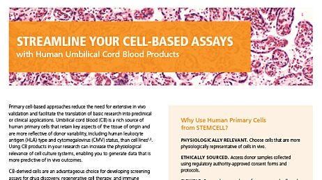 Human Cord Blood Products Overview Flyer