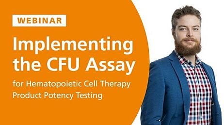Implementing the Colony-Forming Unit (CFU) Assay As a Potency Assay for Hematopoietic Cell Therapy Products
