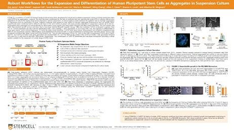 Robust Workflows for the Expansion and Differentiation of Human Pluripotent Stem Cells as Aggregates in Suspension Culture