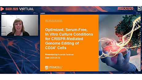 Optimized, Serum-Free, In Vitro Culture Conditions for CRISPR-Mediated Genome Editing of CD34+ Cells 
