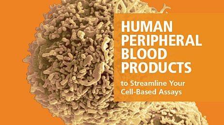 Human Peripheral Blood Products Overview Flyer