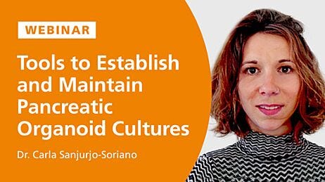 Tools to Establish and Maintain Pancreatic Organoid Cultures