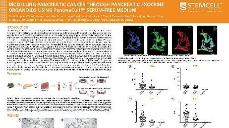 Modelling Pancreatic Cancer Through Pancreatic Exocrine Organoids Using Pancreacult™ Serum-free Medium