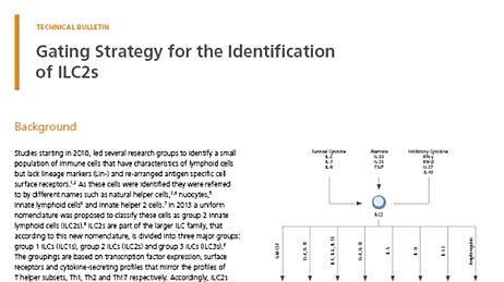 Gating Strategy for the Identification of ILC2s
