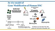 Humanized Mouse Models for Hematopoietic Stem Cell Research: Principles and Pitfalls