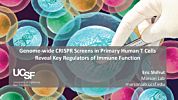 Re-imagining CRISPR Technology for Use with Primary Immune Cells: New Insights for Cell-Based Immunotherapy Research