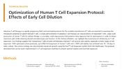 Optimization of Human T Cell Expansion Protocol: Effects of Early Cell Dilution