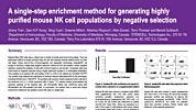 Cell Enrichment to Obtain Mouse NK Cell Populations By Negative Selection