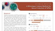 A Monolayer Culture Method for Neural Induction of hPSCs