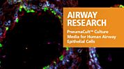 PneumaCult™ Culture Media for Human Airway Epithelial Cells