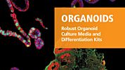 Organoids