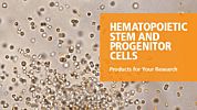 Hematopoietic Stem and Progenitor Cells - Products for Your Research