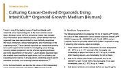 Culturing Cancer-Derived Organoids Using IntestiCult™ Organoid Growth Medium (Human)