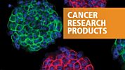 Standardized Tools for Cancer Stem Cell Research