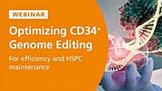 Optimizing CD34+ Cell Genome Editing for Efficiency and HSPC Maintenance