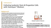 Culture and Expansion of Chronic Myeloid Leukemia Cells