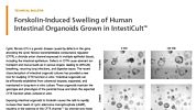 Forskolin-Induced Swelling of Human Intestinal Organoids Grown in IntestiCult™