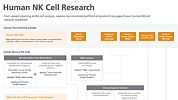 Human NK Cell Product Workflow