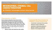 Mesenchymal Stromal Cell Characterization Services